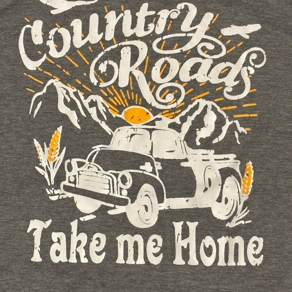 FUNNY Gray baby tee size large Country Roads Take me Home SHEIN brand 🩶2/10🩶 - Picture 3 of 5